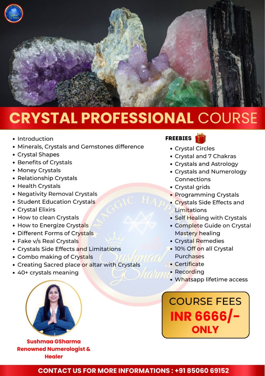 Professional Numerology Course